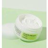 Centella Blemish Cream 3