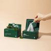 CICA Daily Soothing Mask 2